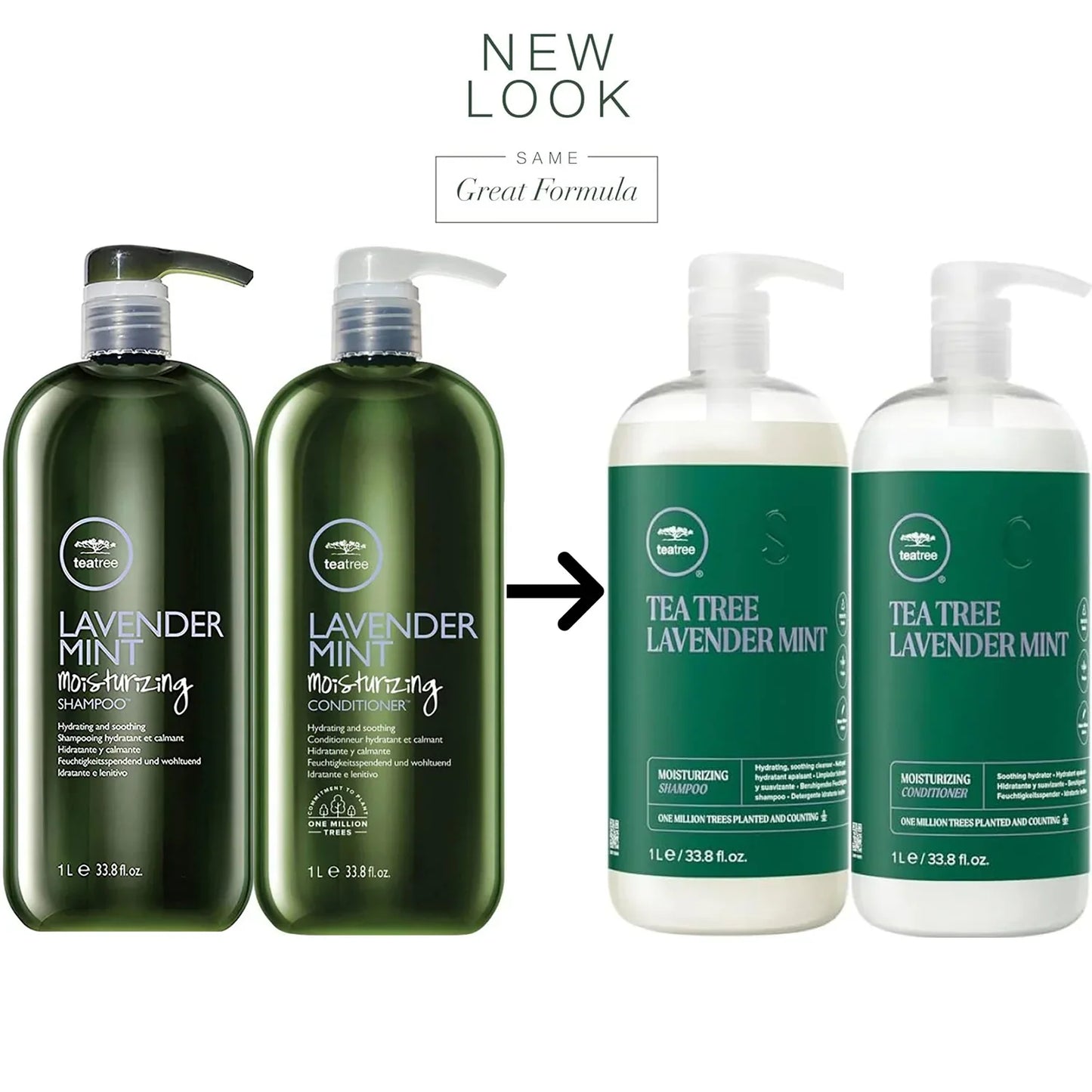 Paul Mitchell Tea Tree Lavender Mint Moisturizing Shampoo & Conditioner 300ml Duo