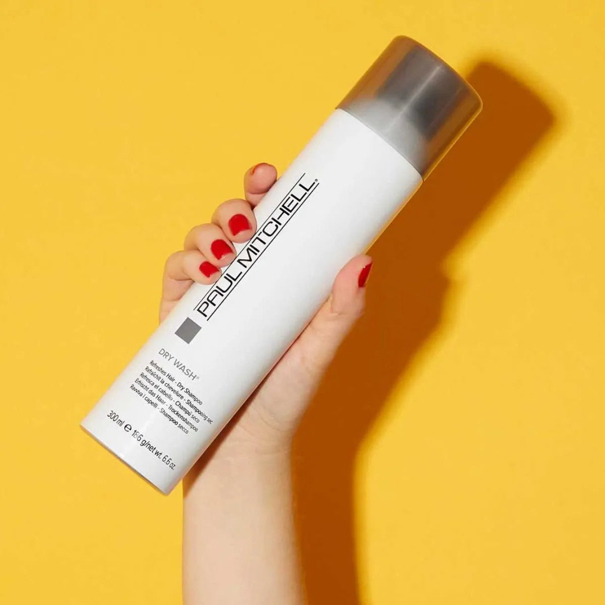 Paul Mitchell Dry Wash Dry Shampoo 300ml